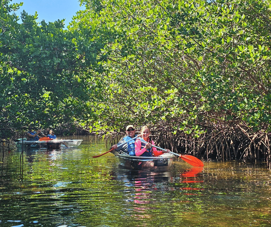 Beautiful clear kayak paddling shot