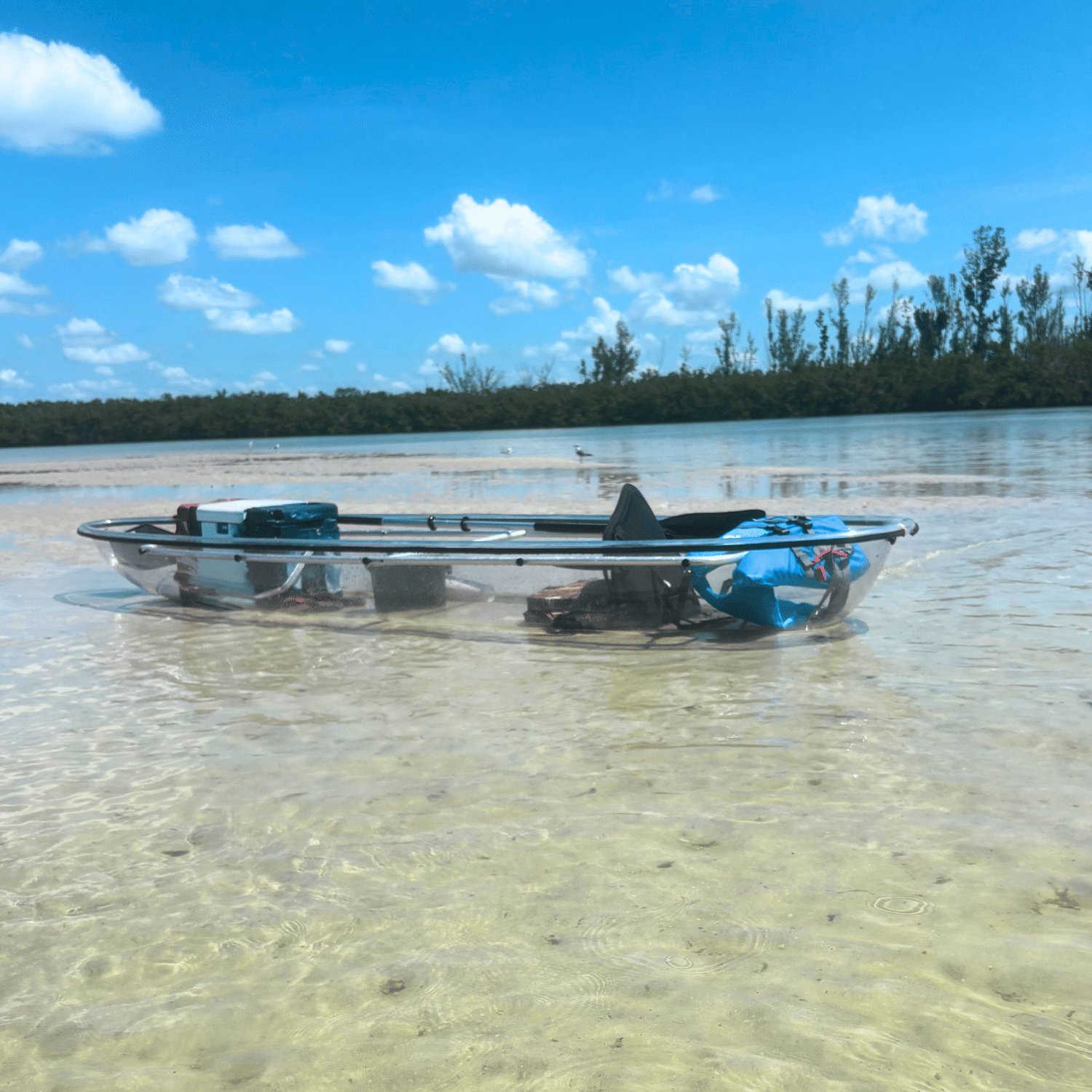 St. Petersburg Rental