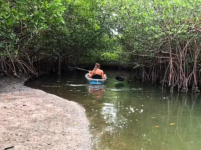 Clear kayak on St. Pete waters at Clam Bayou