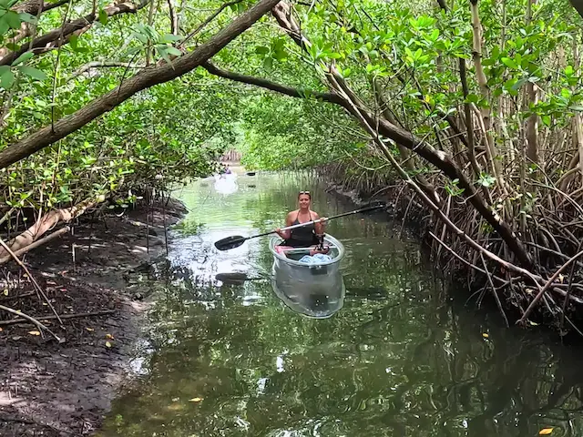 St. Pete clear kayak rental