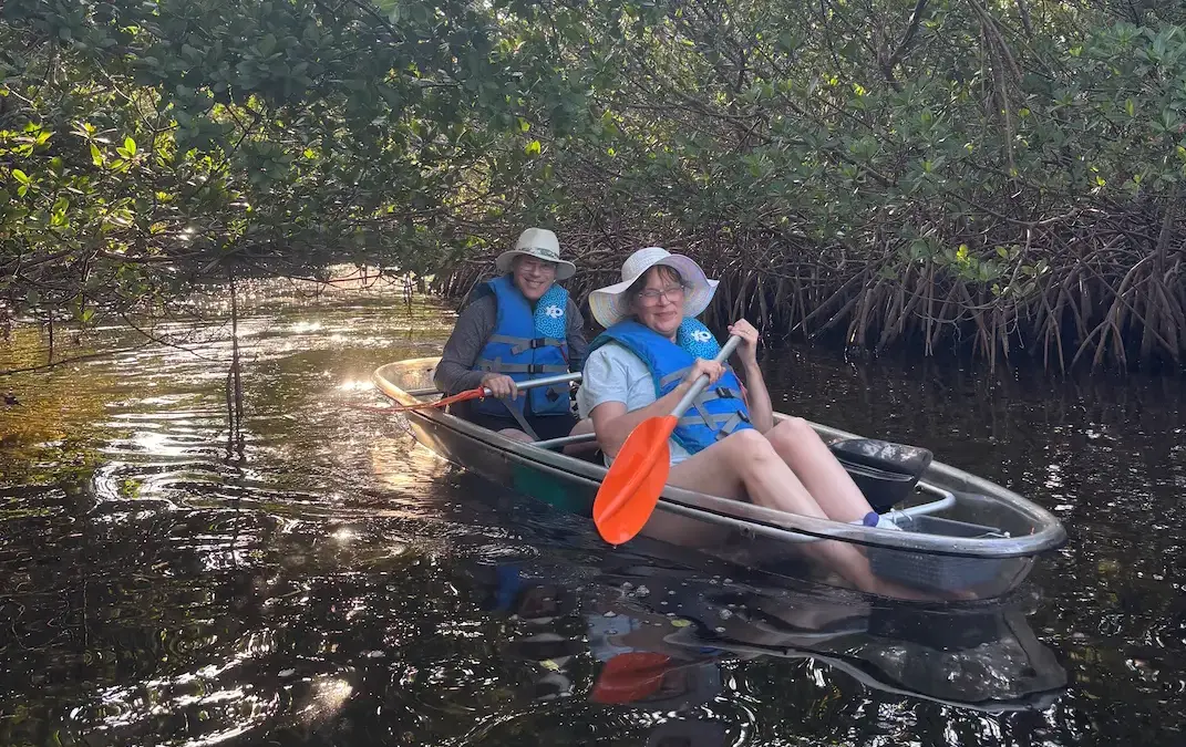 Mangroves from clear kayak rental Clam Bayou St Pete