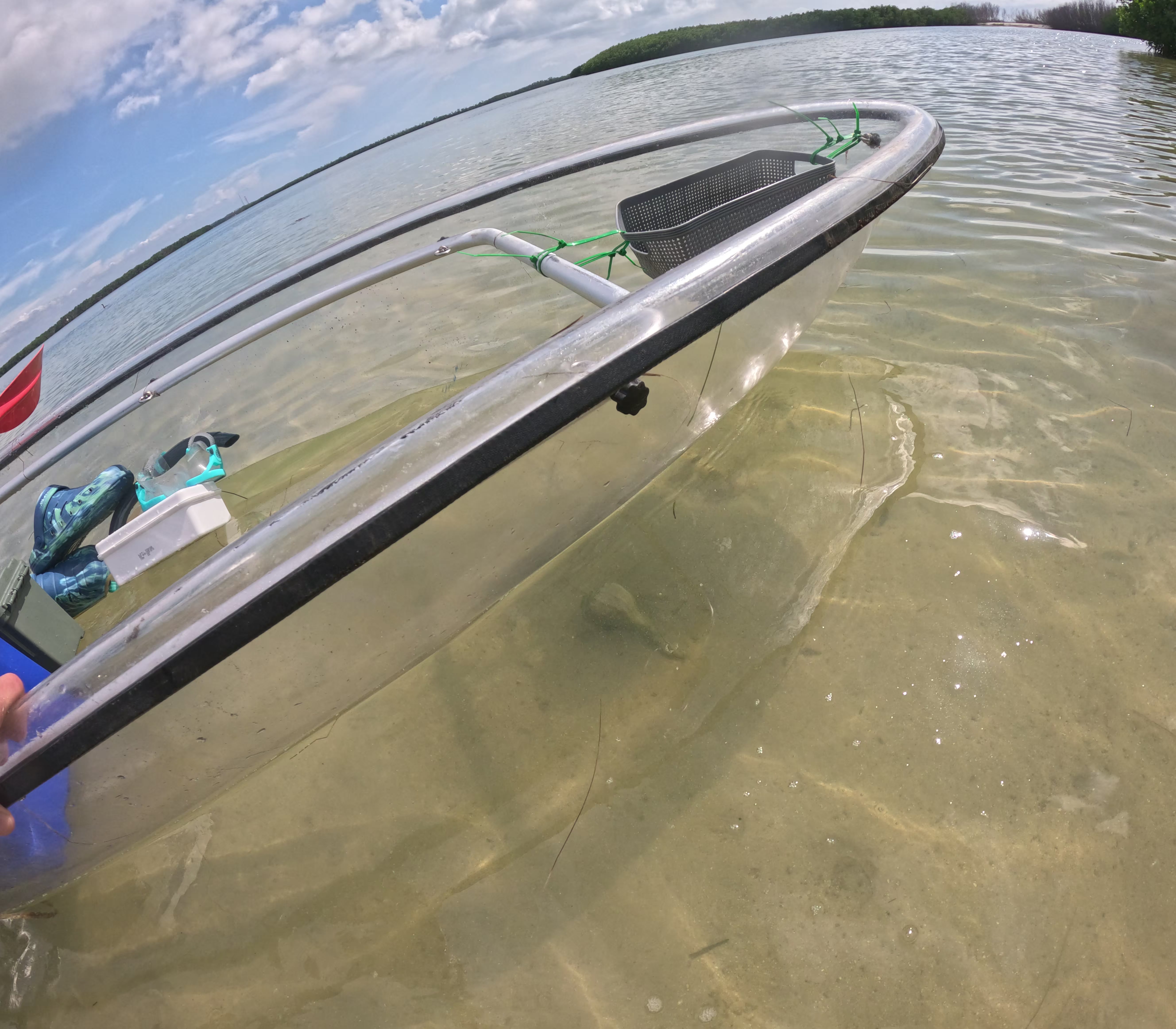 Sunset paddle Coffee Pot Bayou