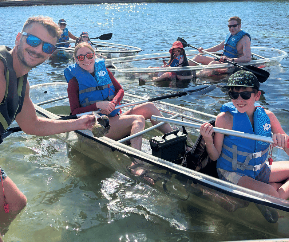 Clear kayak mangrove tunnel adventure Sarasota