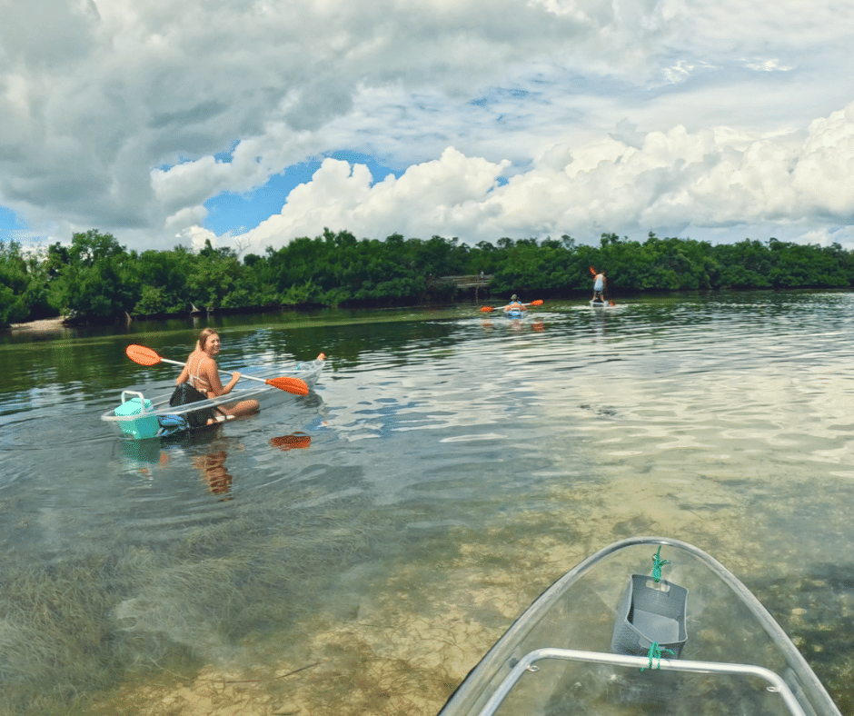 Paddling through calm bays Longboat Key
