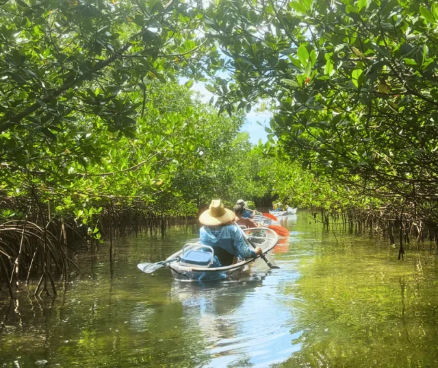 Underwater view from clear kayak