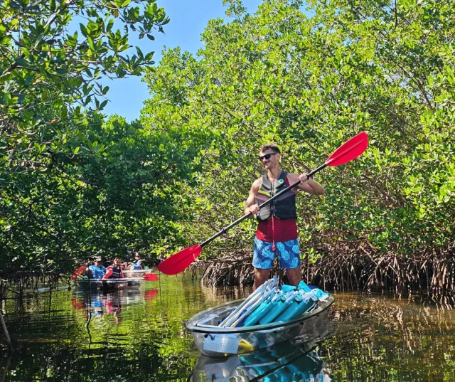 Clear kayak wildlife encounter