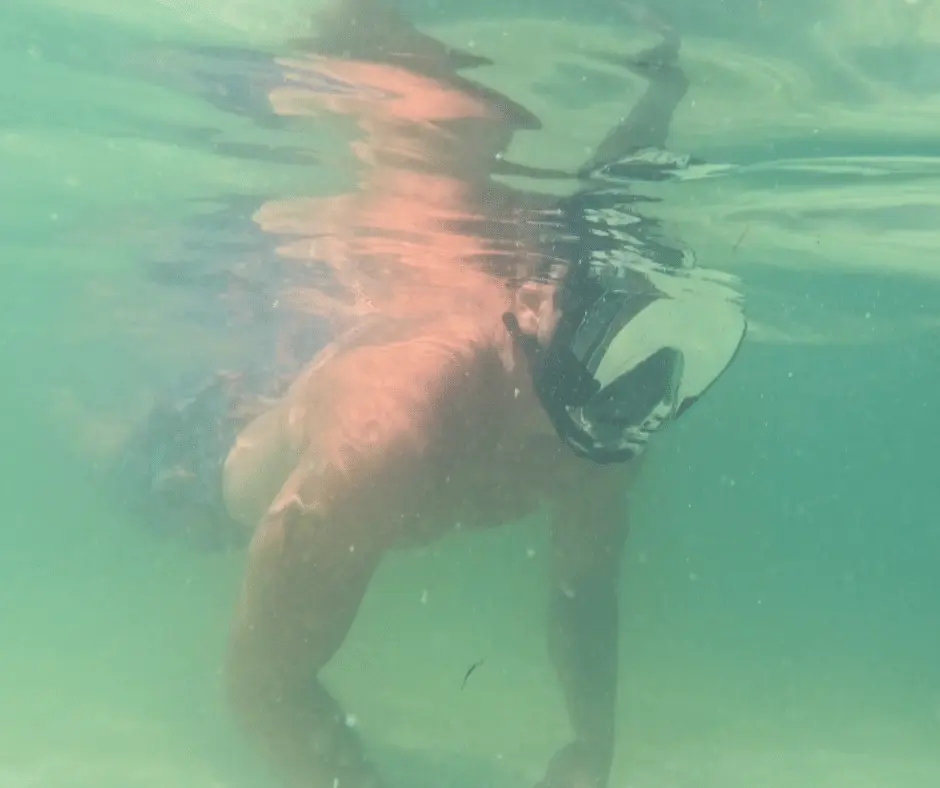 Snorkeling stop on 3-hour beach hopping kayak tour Sarasota