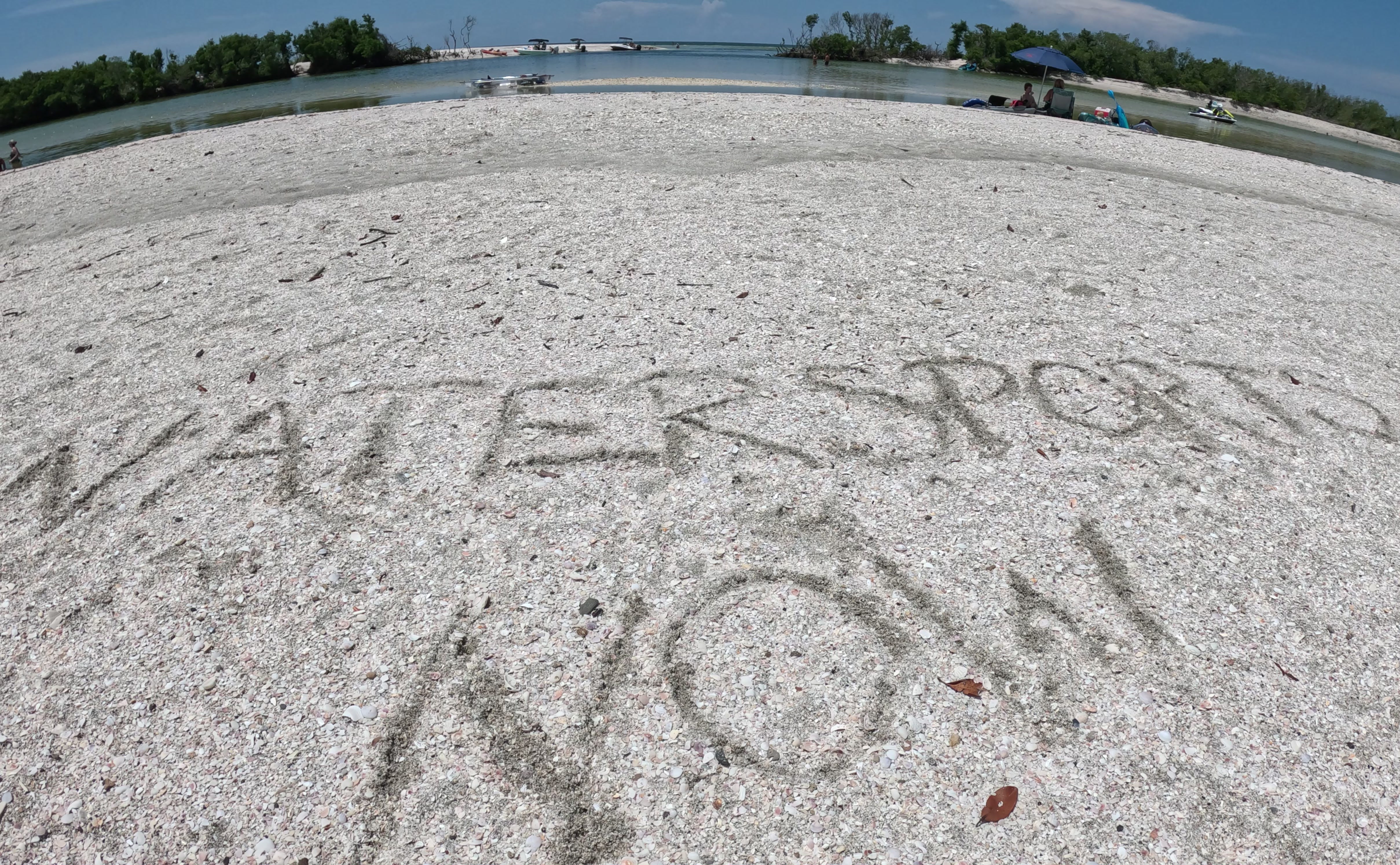 Kayak tours Sarasota FL – Guided eco tour in mangrove tunnel