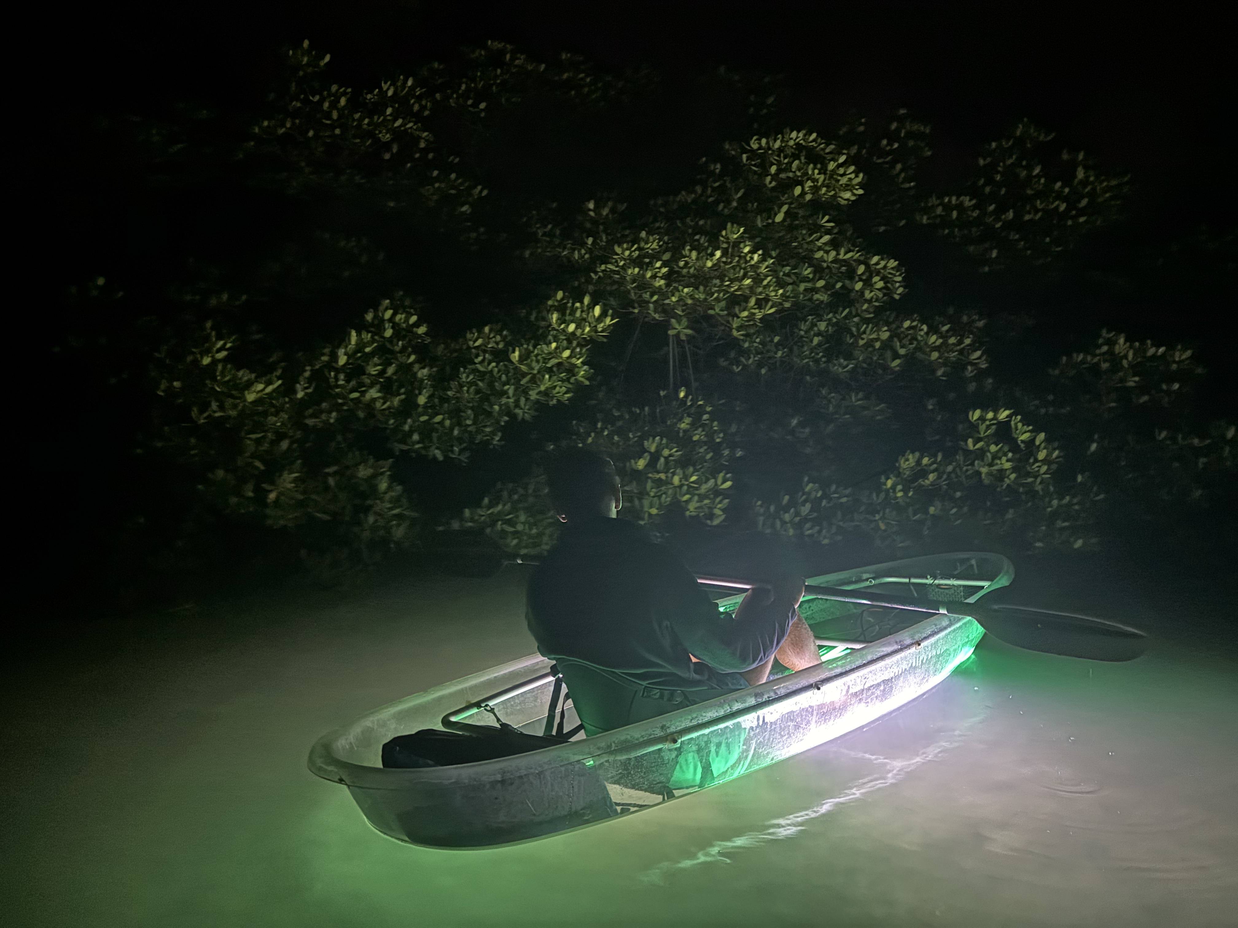 LED illuminated clear kayak night tour in Sarasota Florida