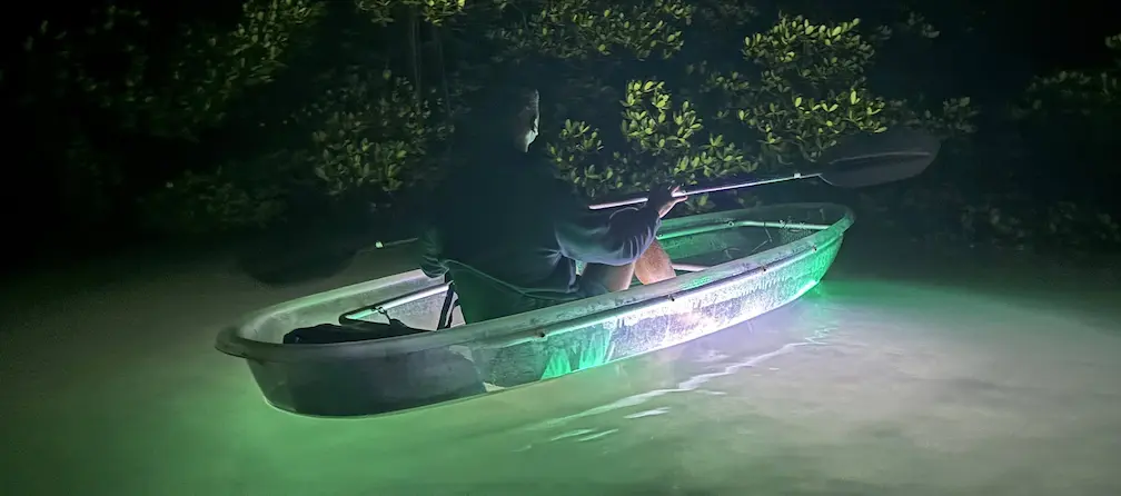 Sarasota LED night kayak tour panoramic view