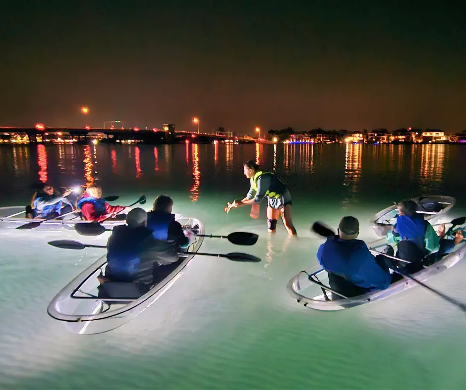 LED illuminated clear kayak night tour Sarasota Bay Longboat Key