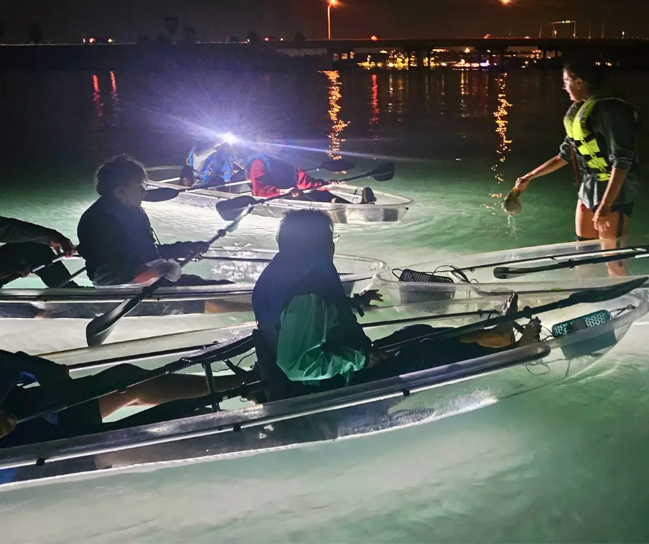 LED illuminated clear kayak night tour Sarasota