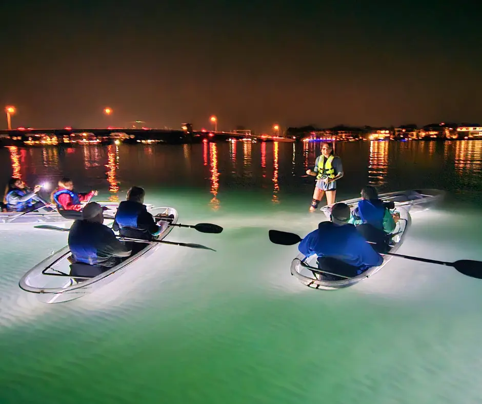 LED illuminated clear kayak night tours in Sarasota Florida