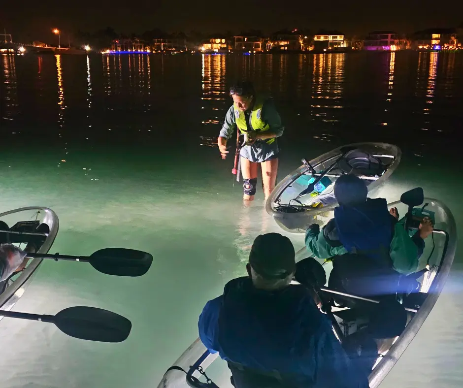 Night glow kayak adventure with LED lights Sarasota