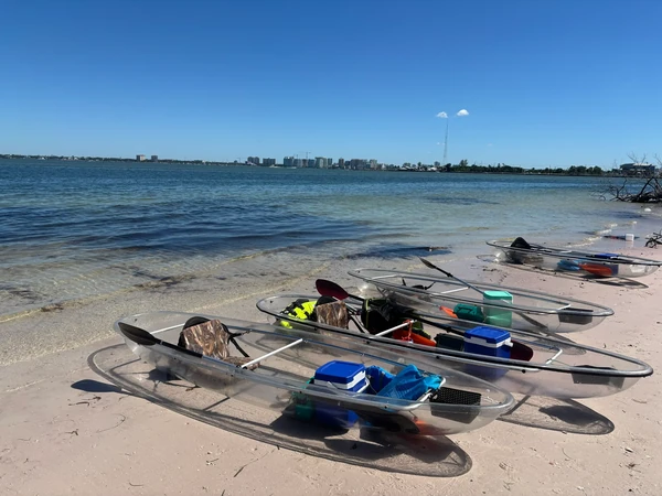 Paddling through mangrove tunnels on a clear kayak in Sarasota, FL