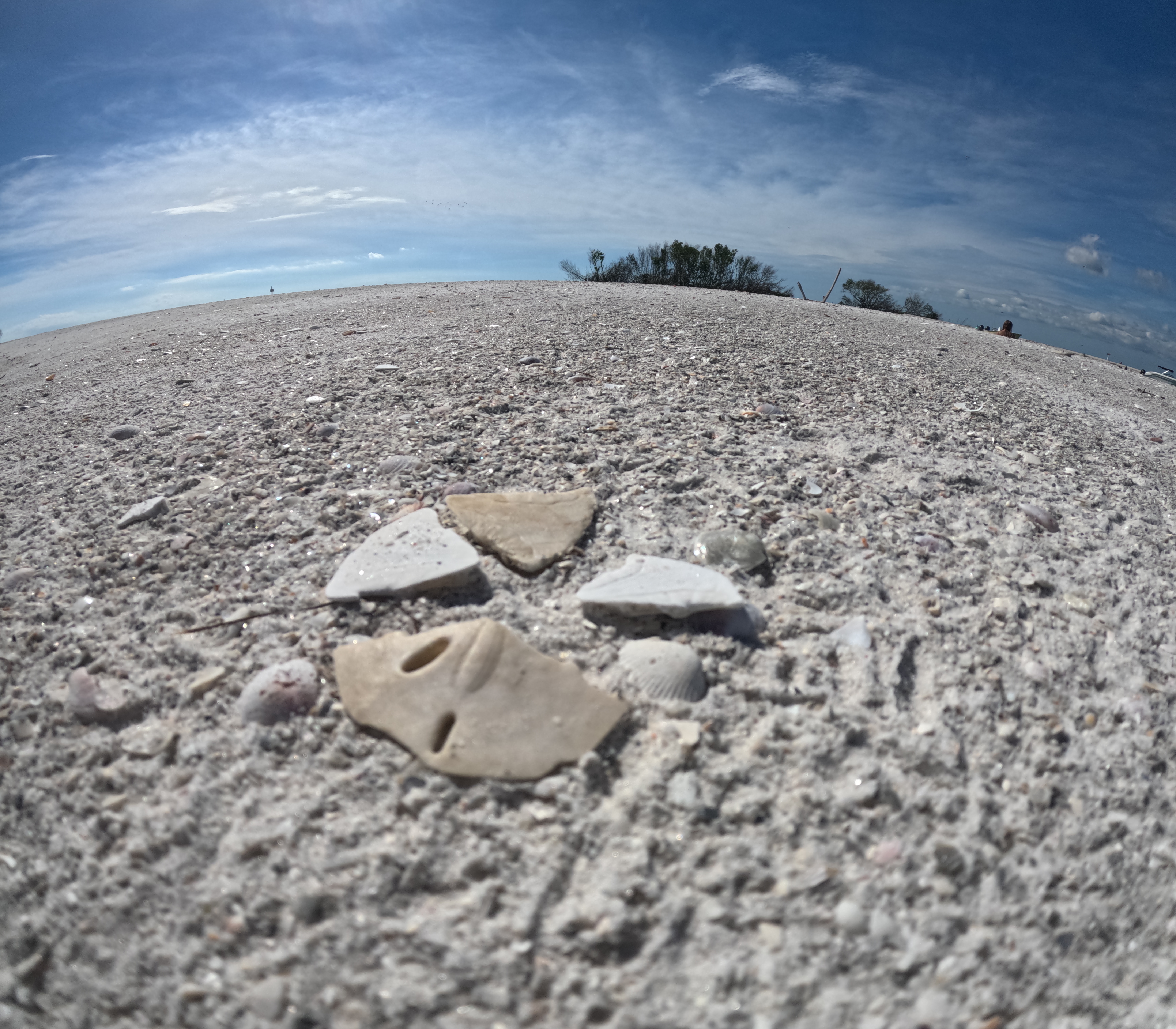 Clear kayak rental near downtown St. Pete