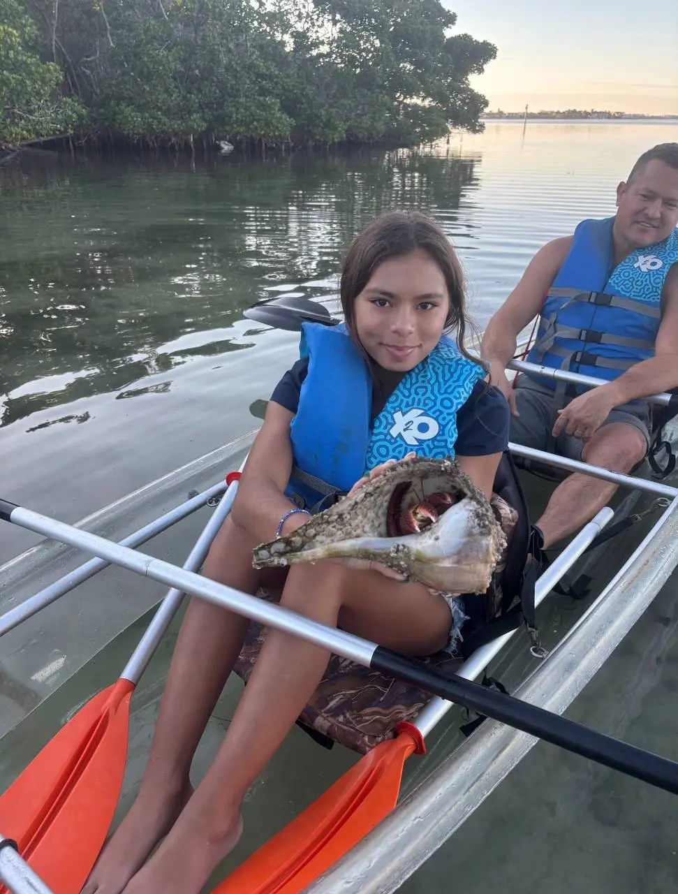Paddlers watching the sunset from clear kayaks on a calm Longboat Key lagoon