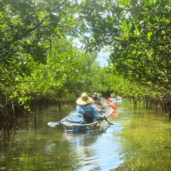 Beach hopping clear kayak tour Longboat Key Sarasota
